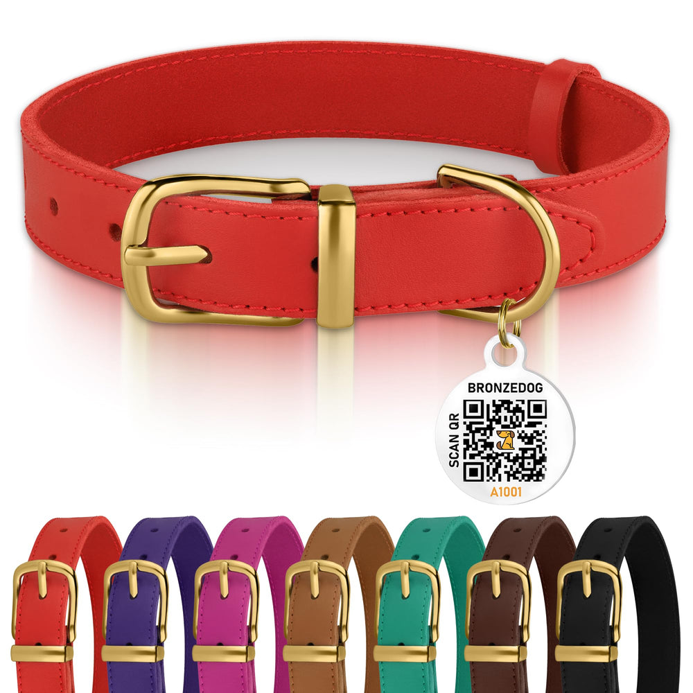 BRONZEDOG collar de cuero con hebilla metálica para paseos diarios