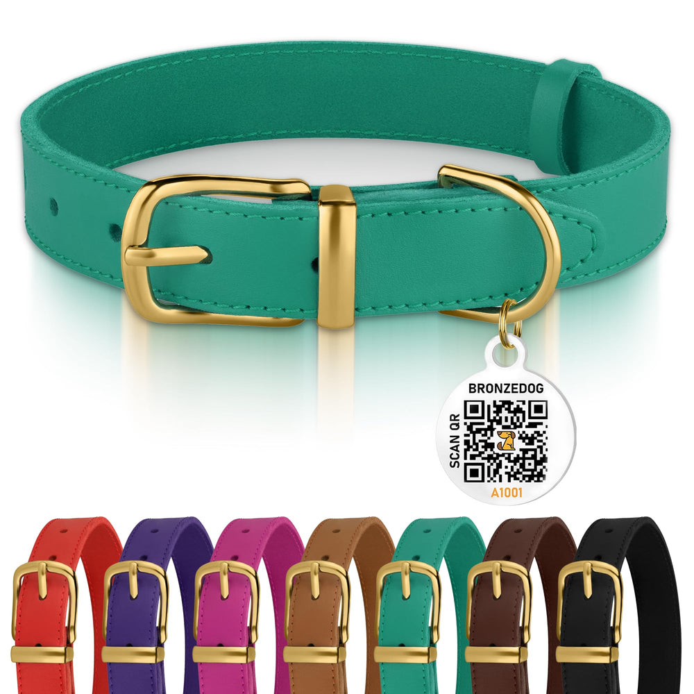 BRONZEDOG collar de cuero con hebilla metálica para perros activos.