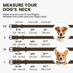 BRONZEDOG collar ronlado con anilla D para paseos seguros.