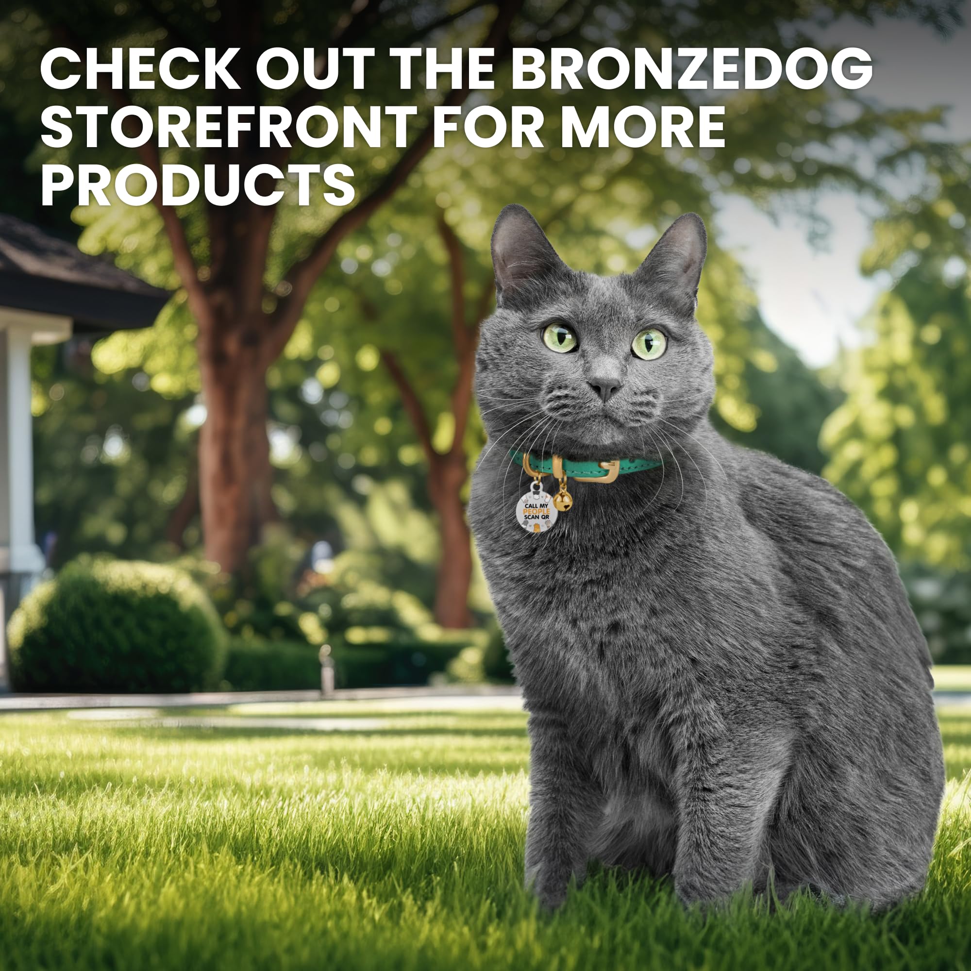 BRONZEDOG collar de uso diario para gatos en interiores y salidas moderadas.