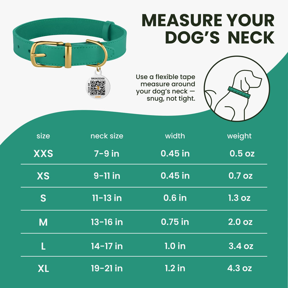 BRONZEDOG collar cuero cuidado, evitar mojar para conservar calidad