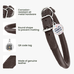 BRONZEDOG collar con cuero enrollado para perros de tamaño variado.