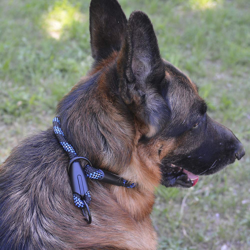 BRONZEDOG diseño resistente y duradero, ideal para uso diario azul