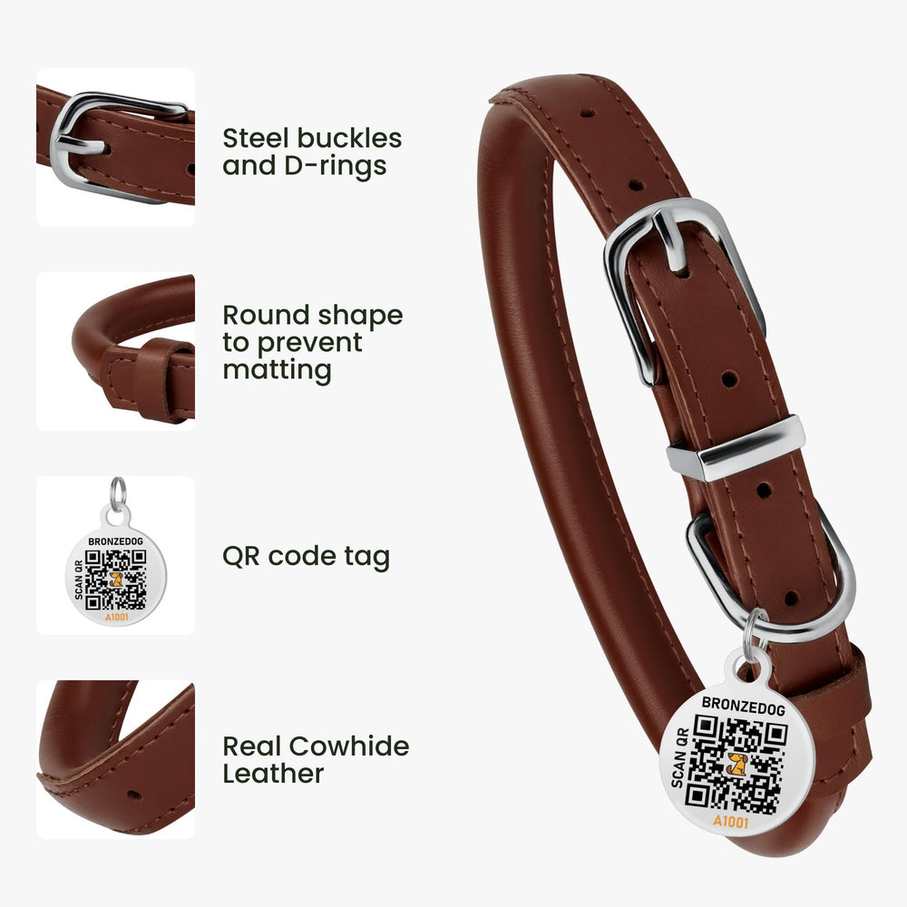 BRONZEDOG collar con etiqueta QR para identificación rápida.