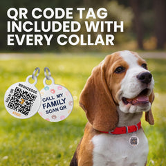 BRONZEDOG collar con etiqueta QR para identificación rápida