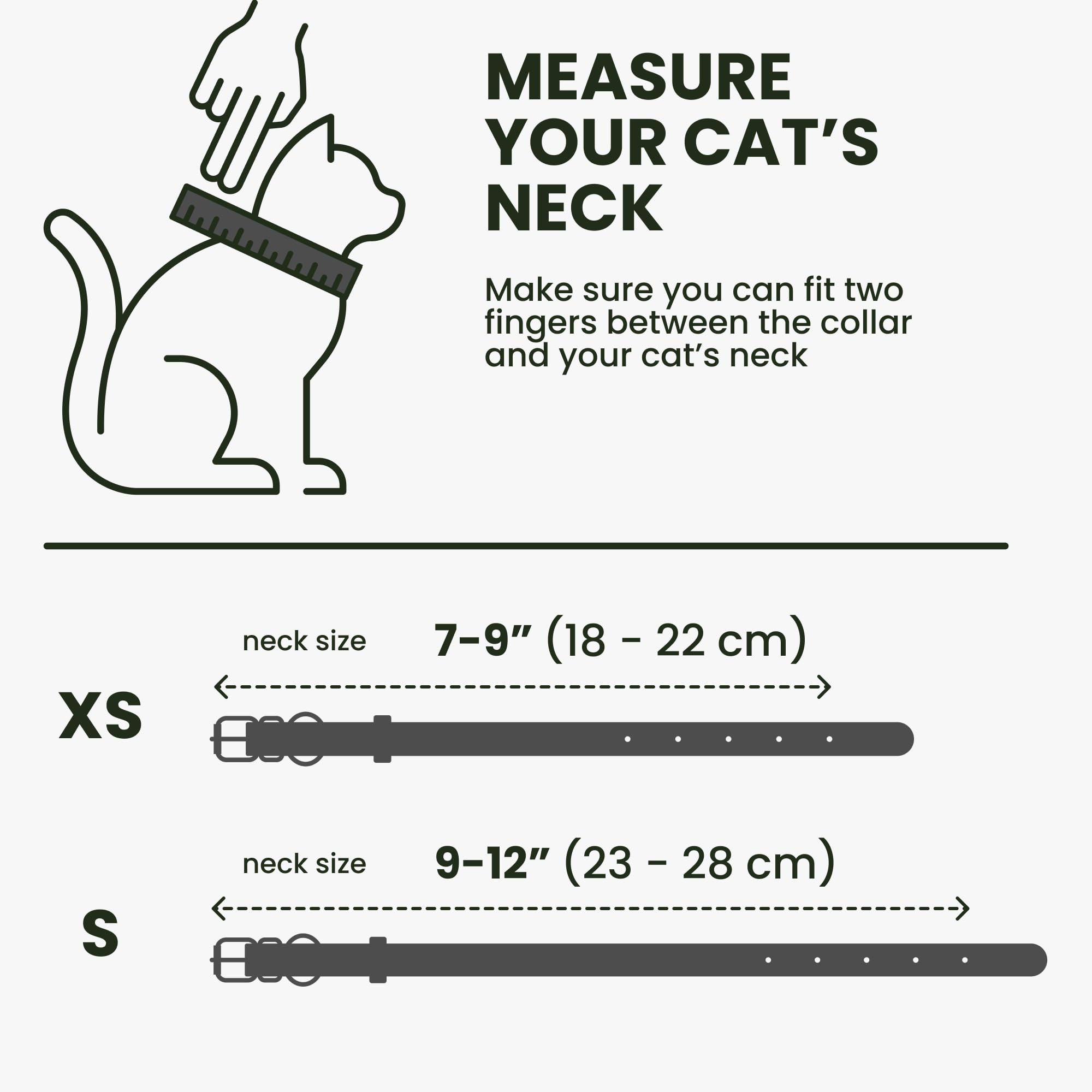 BRONZEDOG collar ligero, ideal para gatitos y perros pequeños.