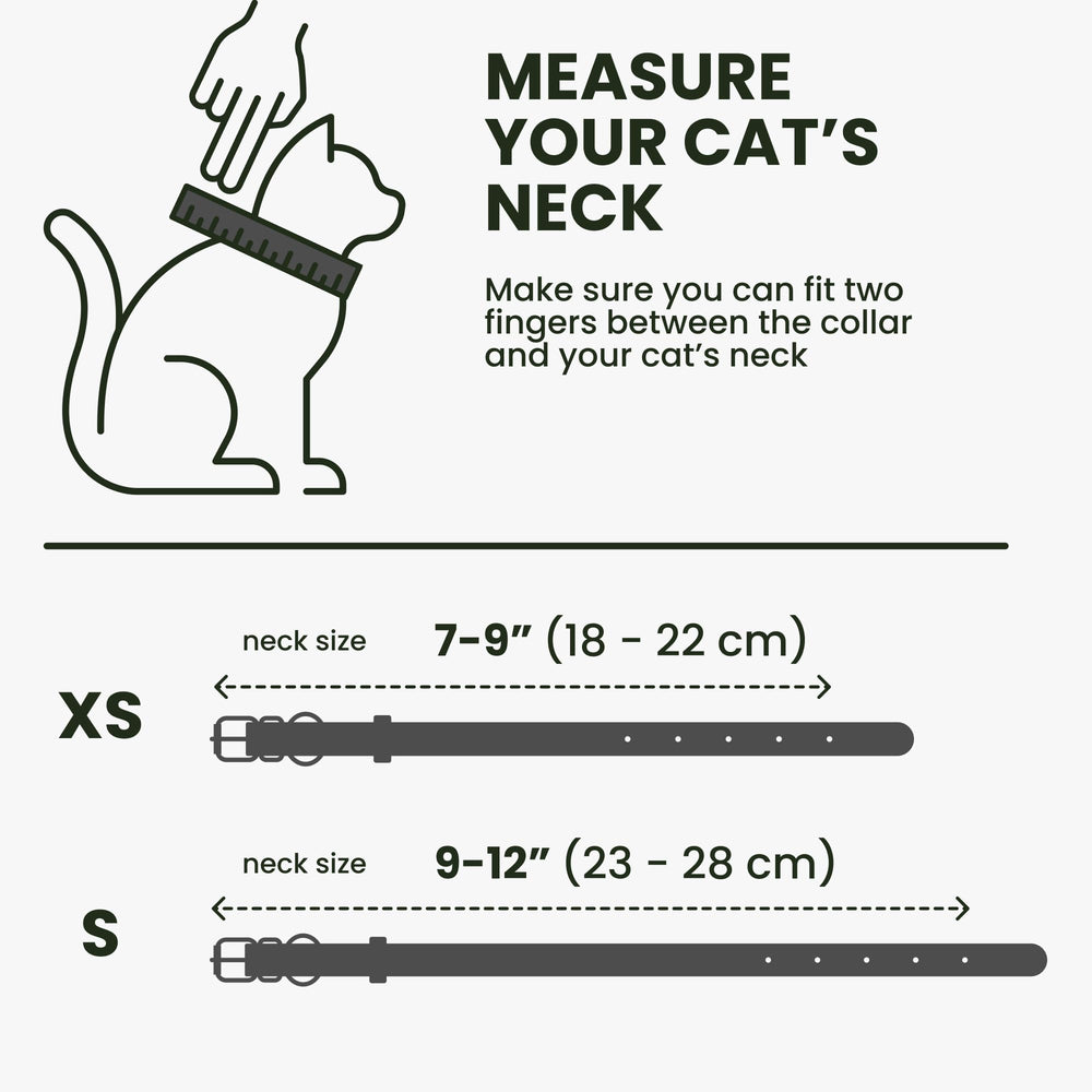 BRONZEDOG collar ligero, ideal para gatitos y perros pequeños.