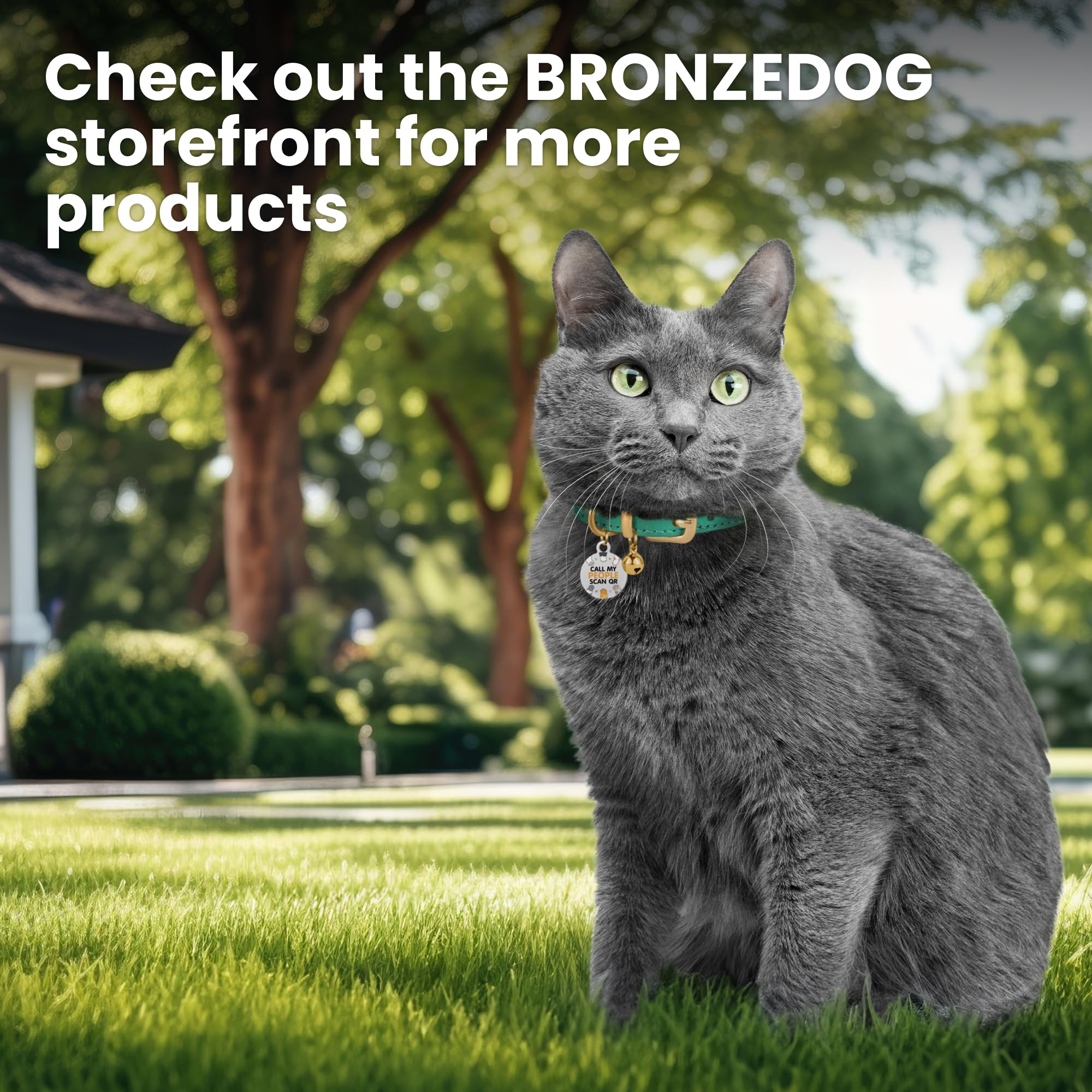 BRONZEDOG collar sin cierre de rotura, opción para uso controlado en casa.