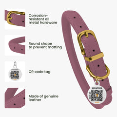 BronzeDog collar hebilla ajustable, cierre seguro para paseos controlados.