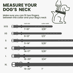 BRONZEDOG collar con hebilla negro dura, ideal para paseos diarios.