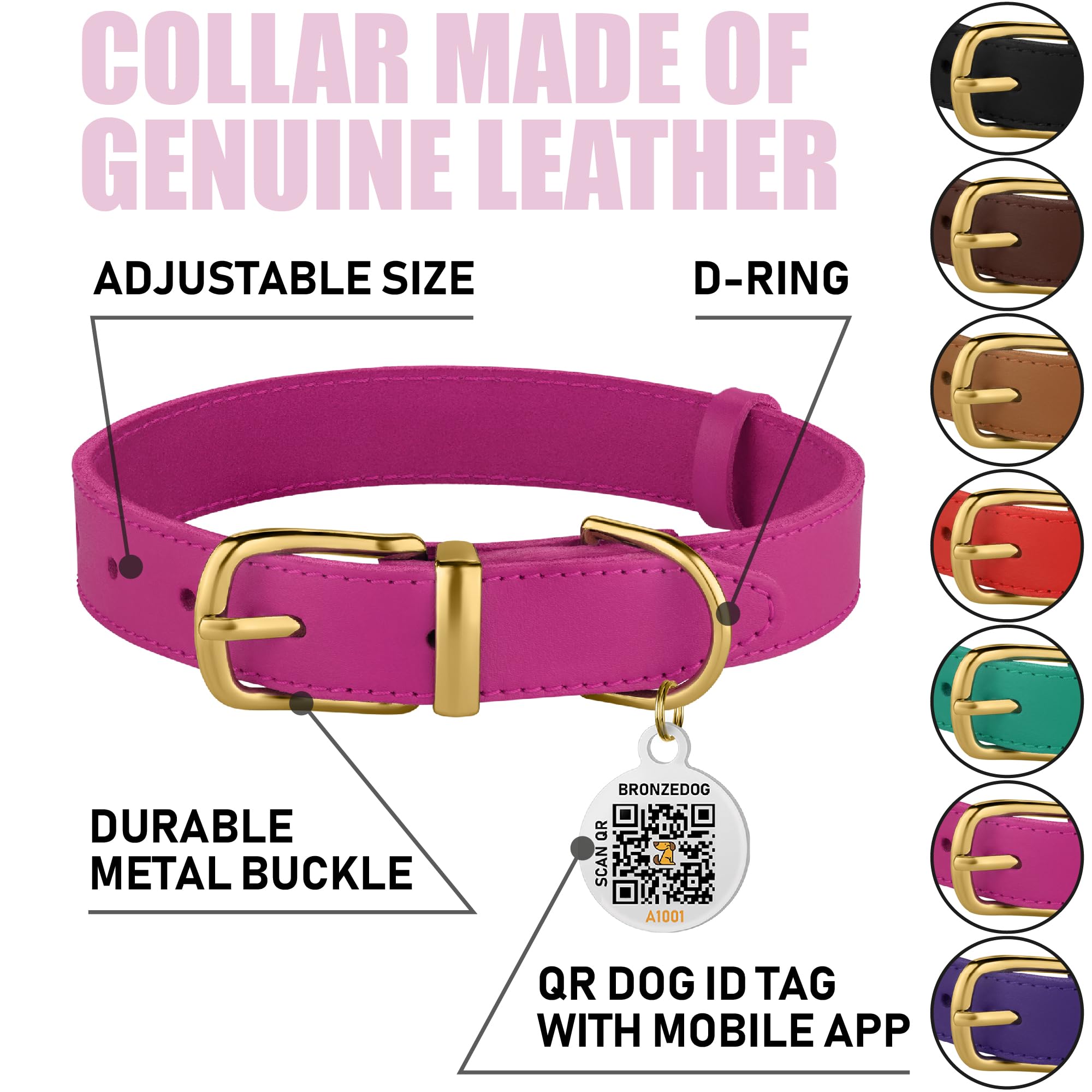 BRONZEDOG collar con etiqueta QR ID visible para facilitar la identificación.