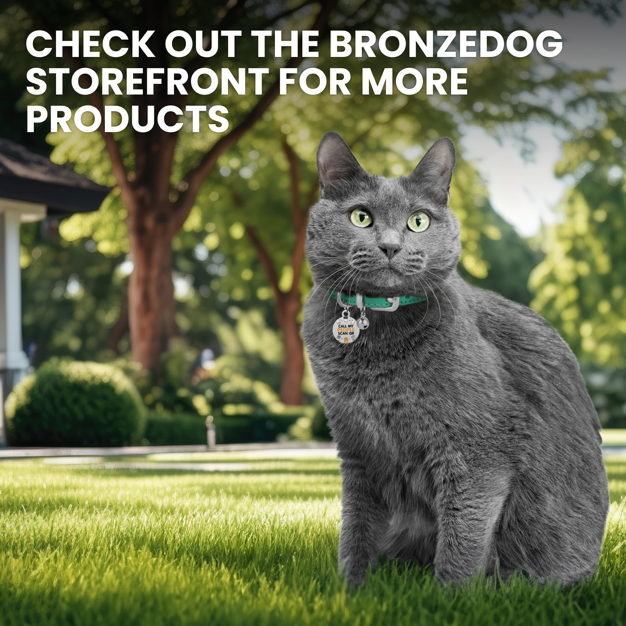 BRONZEDOG collar sin broche para interiores, seguridad y comodidad.
