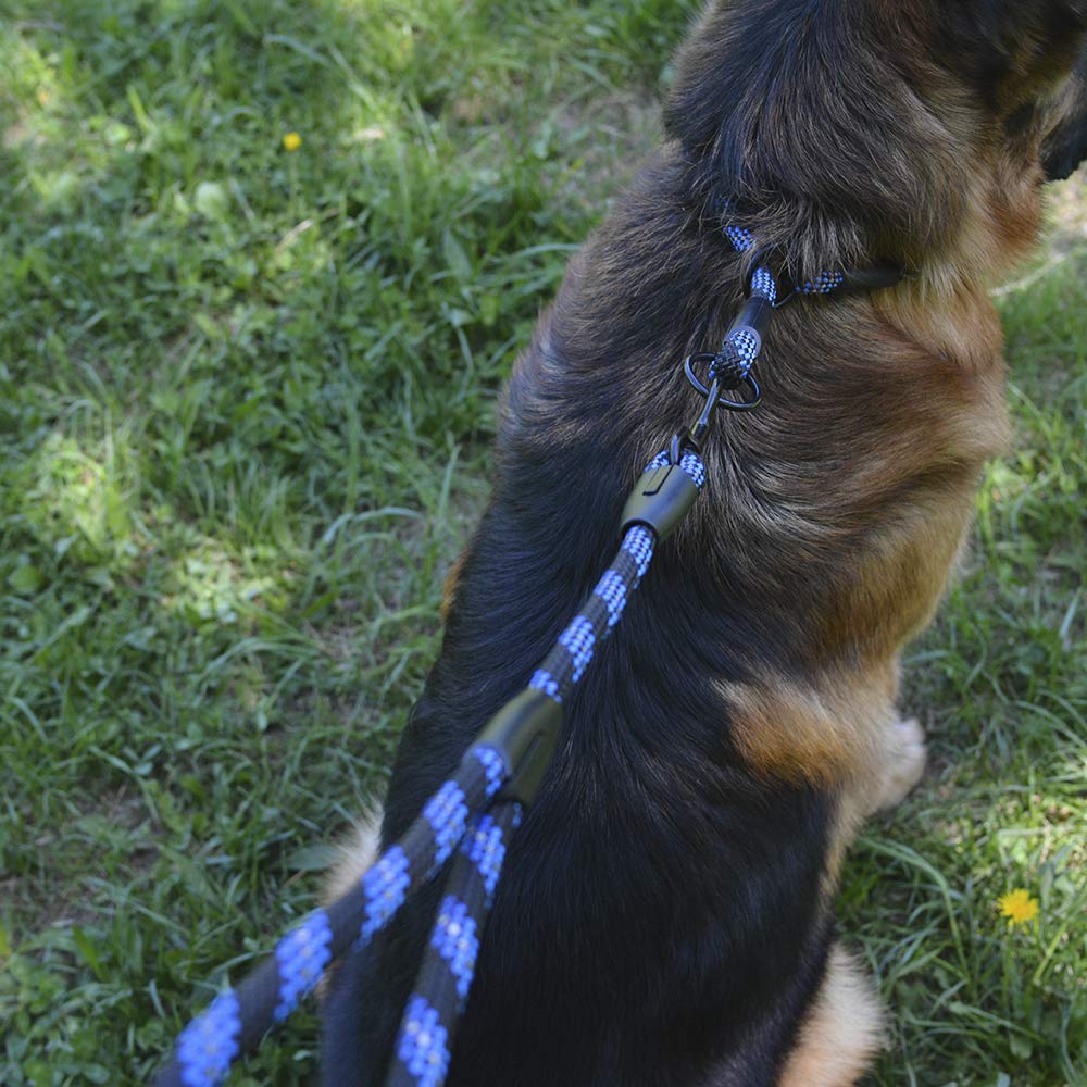 BRONZEDOG collar para perros que tiran, útil para adiestramiento supervisado