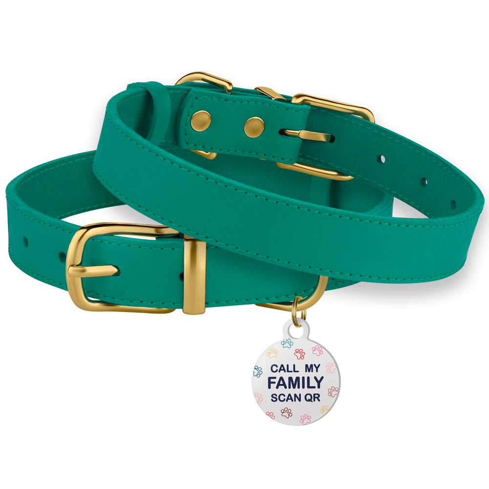 BRONZEDOG collar uso diario y entrenamiento, suave y duradero