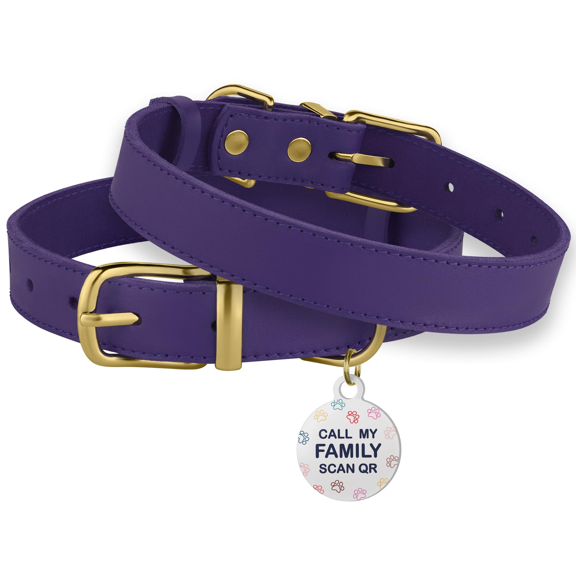 Uso diario y entrenamiento con BRONZEDOG, collar robusto para perros activos.