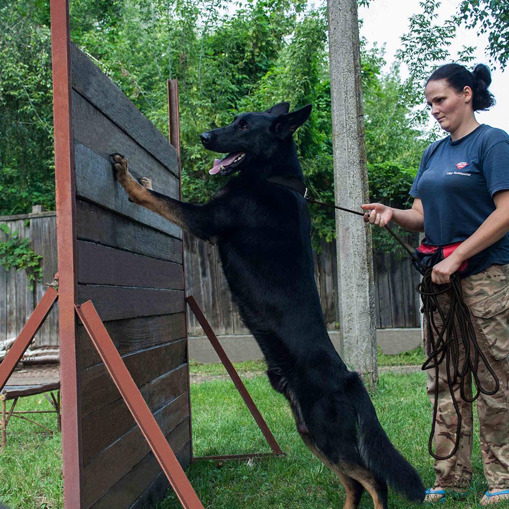 BronzeDog cuerda rosa para cachorros y perros pequeños en entrenamiento