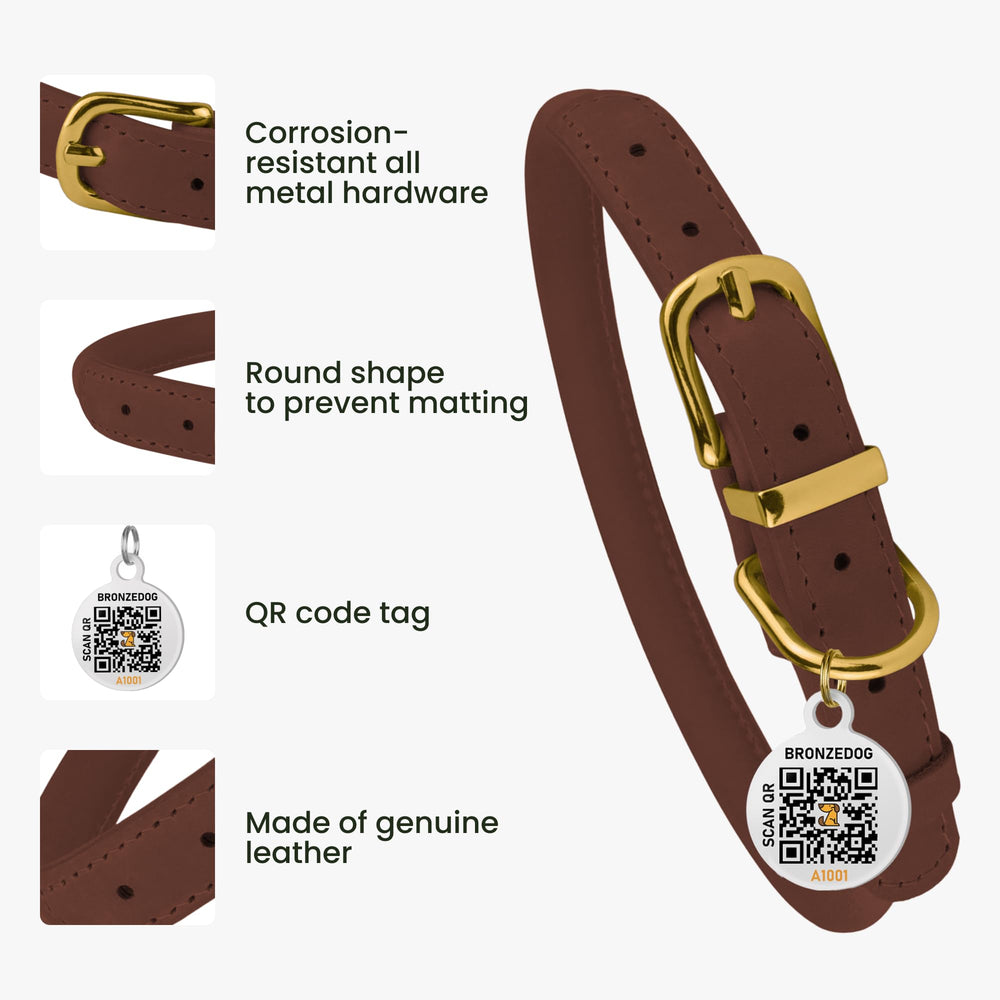 BRONZEDOG etiqueta QR en primer plano para identificación