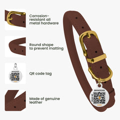 BRONZEDOG etiqueta QR en primer plano para identificación