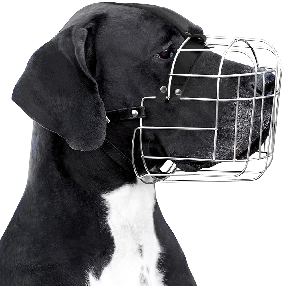 Mordaza BRONZEDOG de acero, vista frontal de la cesta resistente para perros grandes.