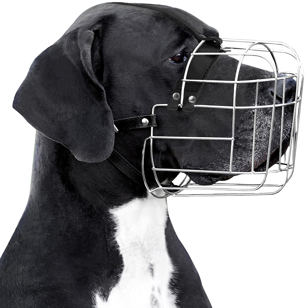 Mordaza BRONZEDOG de acero, vista frontal de la cesta resistente para perros grandes.