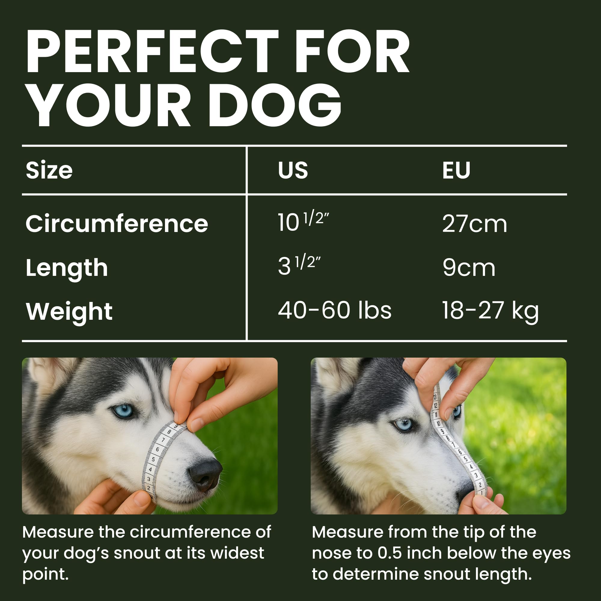 Mordaza para husky y doberman Bronzedog con cuero, estilo duradero y cómodo.