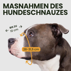 BRONZEDOG mordaza con correas de cuero ajustables para Pitbull