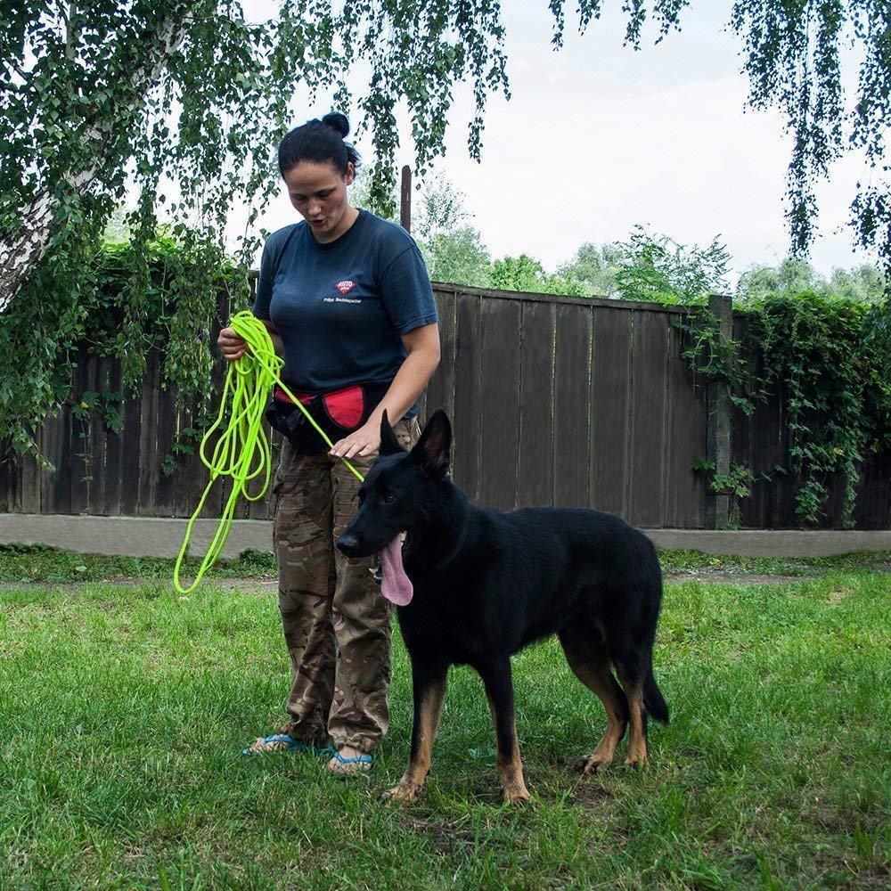 BRONZEDOG Mosquetón de acero: gancho resistente para uso diario y entrenamiento.