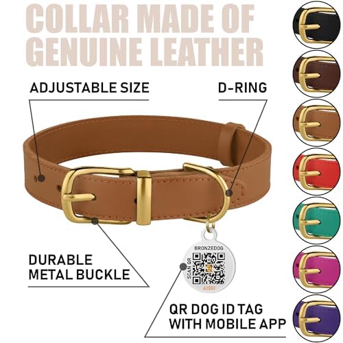 Close-up of BRONZEDOG collar showing built-in QR ID tag for easy ID.