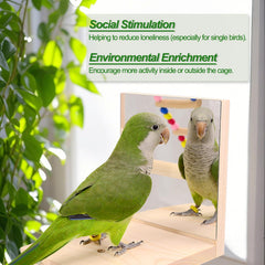 Escalera para aves BRSLAIF fomenta exploración diaria