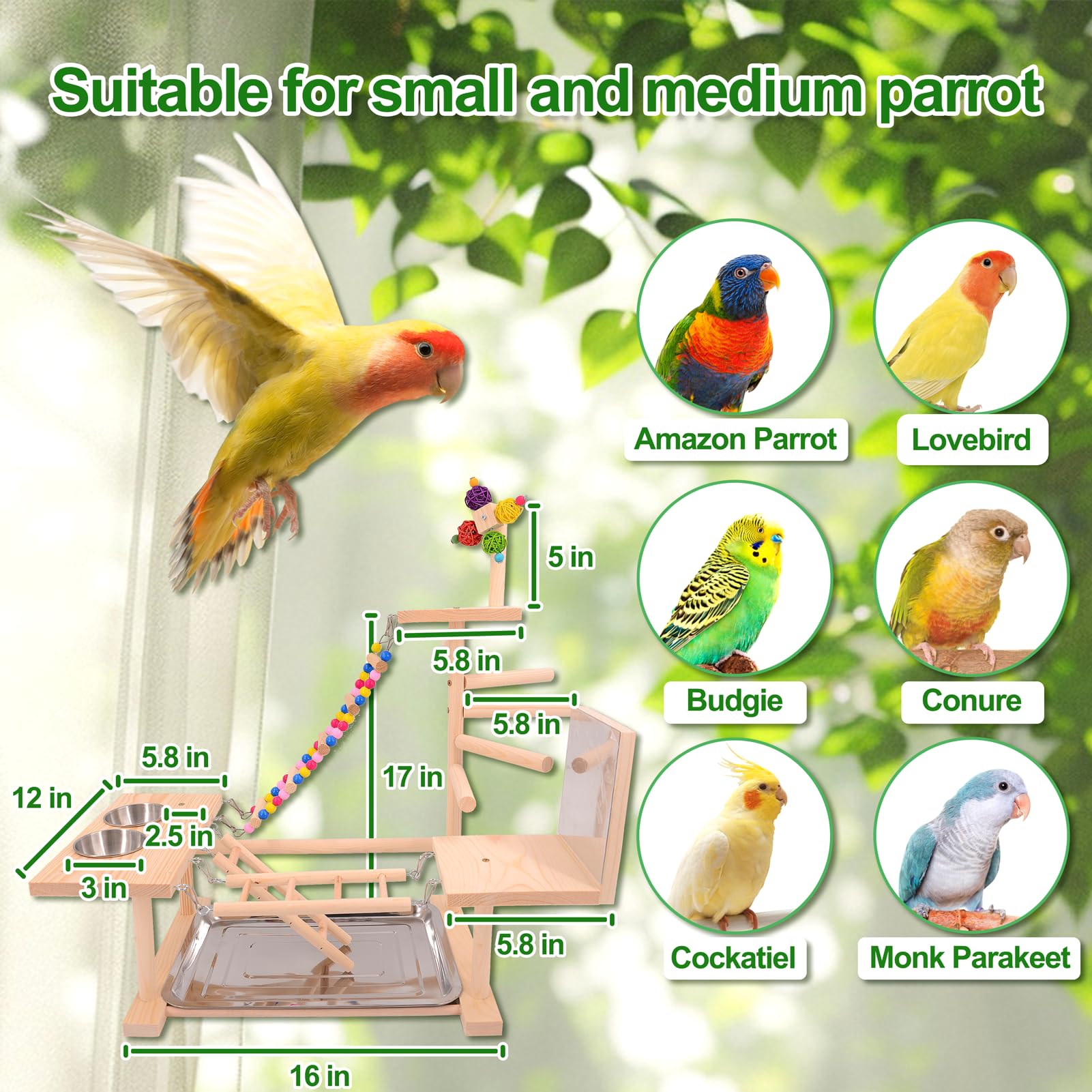 Juguete espejo para aves BRSLAIF estimula curiosidad y socialización