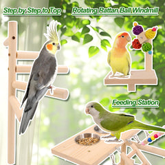 Plataformas multinivel BRSLAIF facilitan ejercicio natural para loros