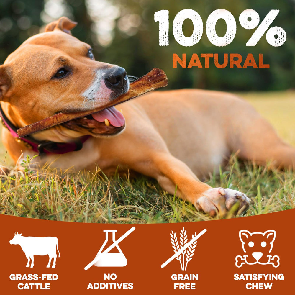 BRUTUS & BARNABY Bully Stick sin cuero crudo para perros grandes