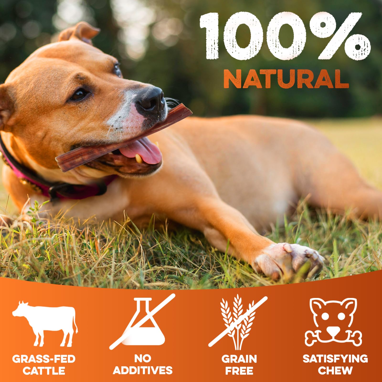 BRUTUS & BARNABY Bully Sticks limpieza natural que reduce olores en casa