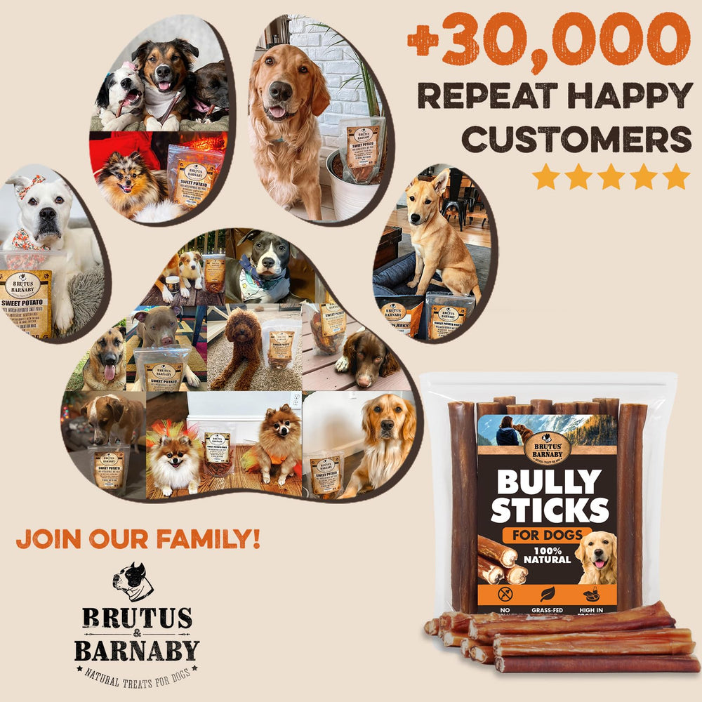 BRUTUS & BARNABY Bully Sticks sin lejía ni conservantes
