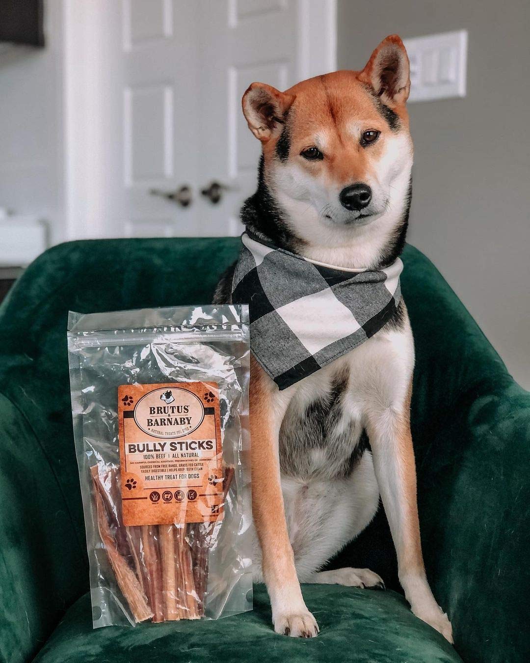BRUTUS & BARNABY Bully Sticks 6-pulgadas variedad de tamaños, adapta a razas grandes