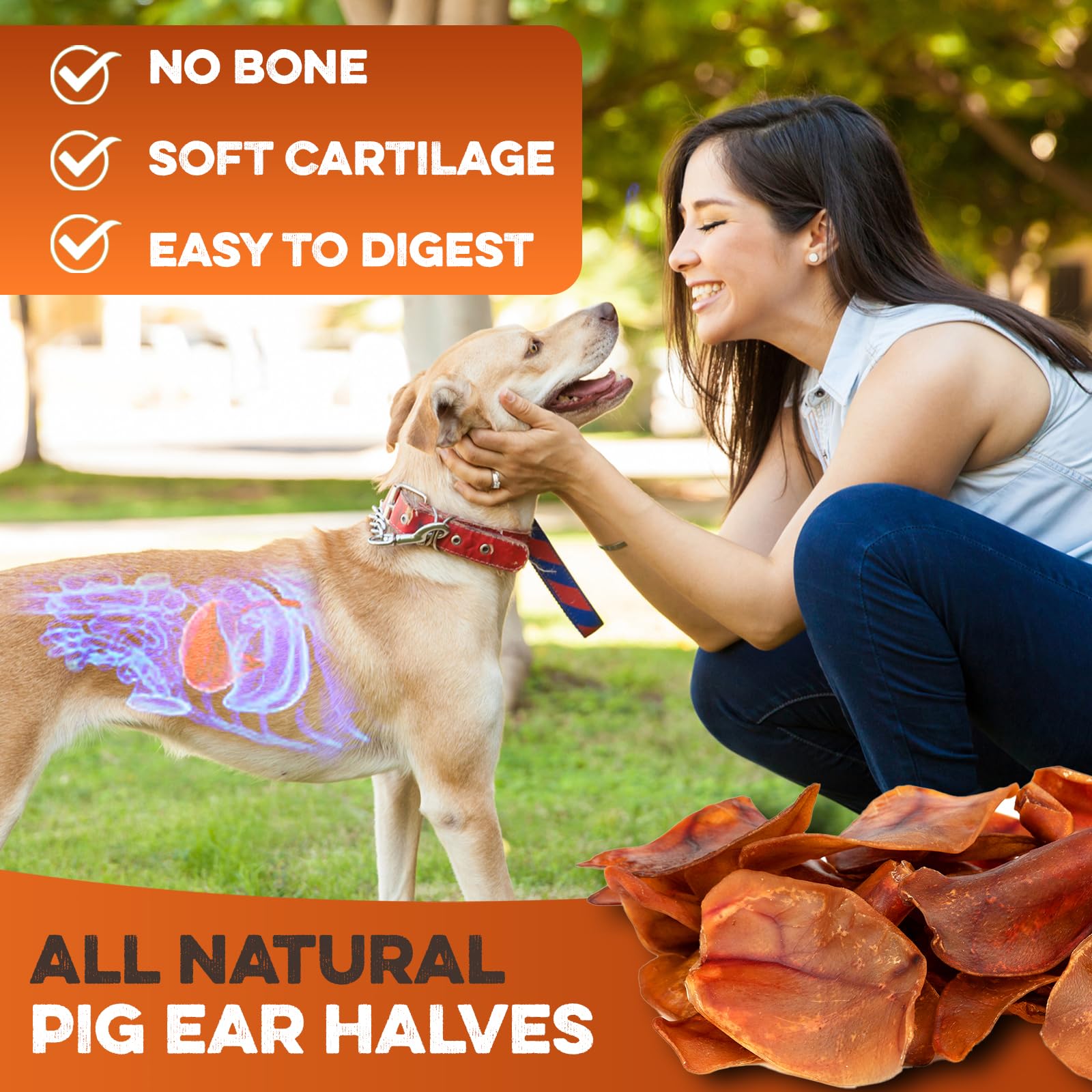 BRUTUS & BARNABY – porciones medias, ideal para raciones pequeñas o entrenamiento.