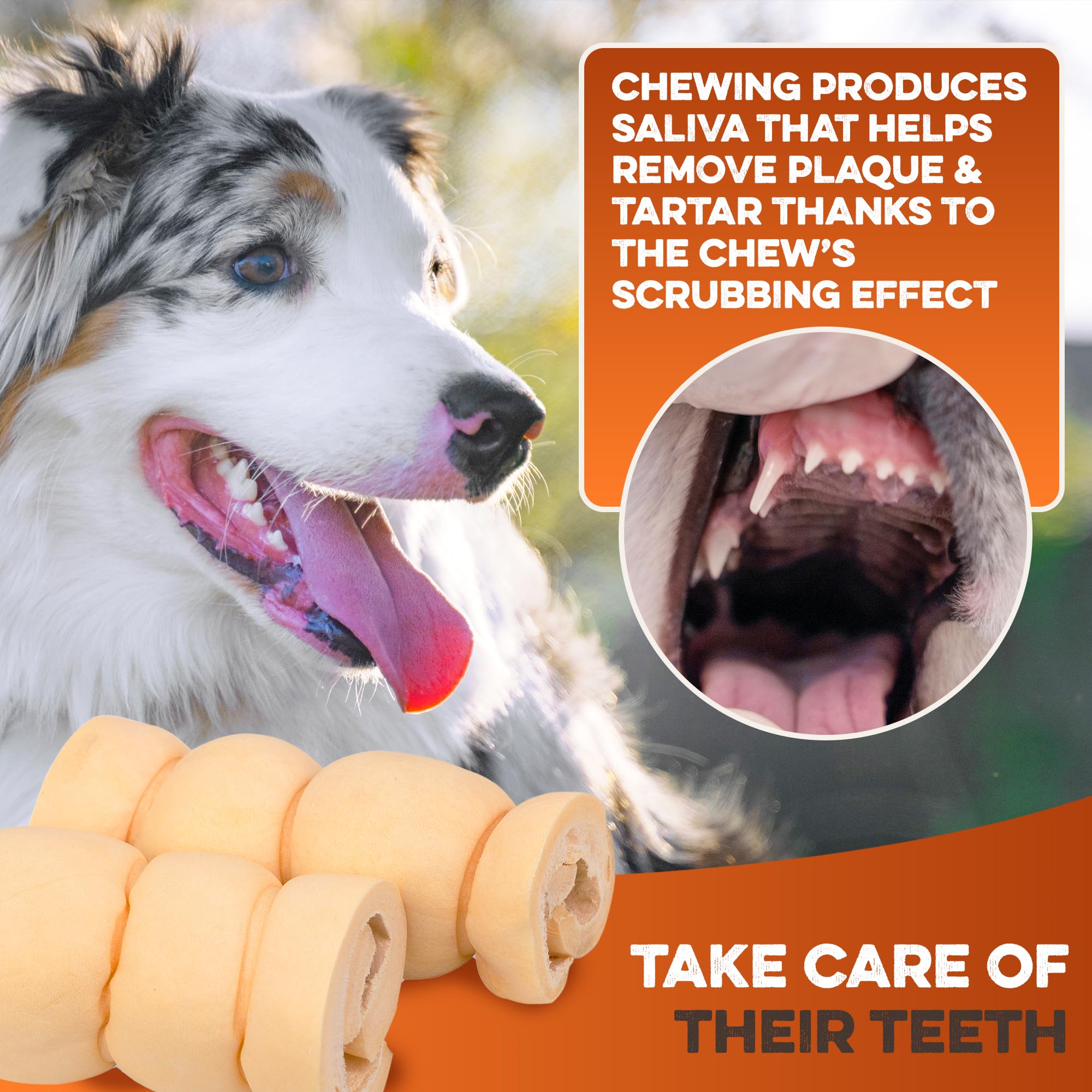 BRUTUS & BARNABY posible beneficio dental al masticar estos rollos