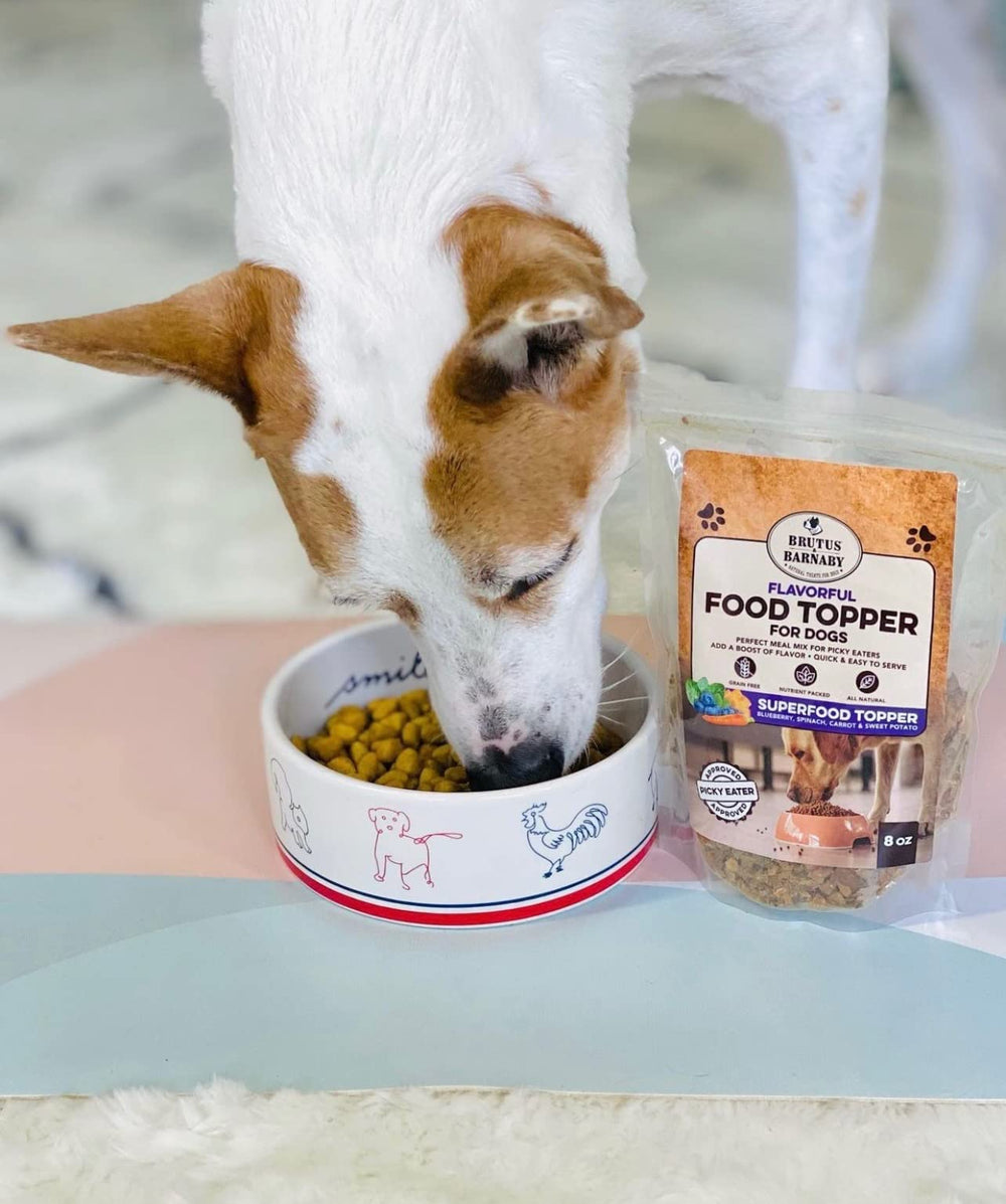 BRUTUS & BARNABY bolsa de 16oz con topping nutritivo