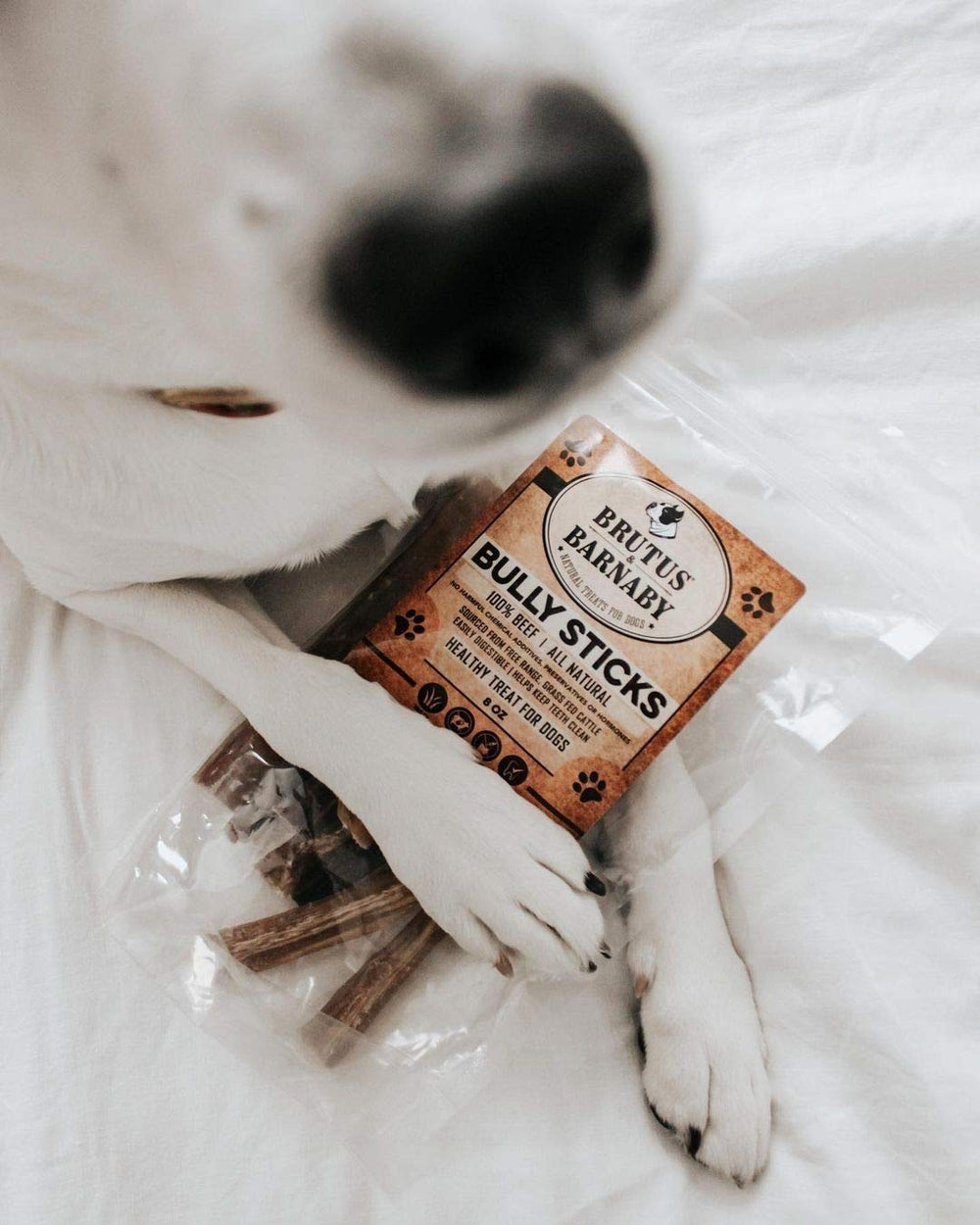 BRUTUS & BARNABY snack de ingrediente único para masticación diaria