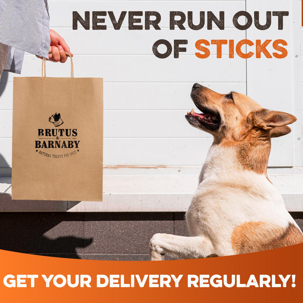 BRUTUS & BARNABY pack de 9 unidades para masticación diaria