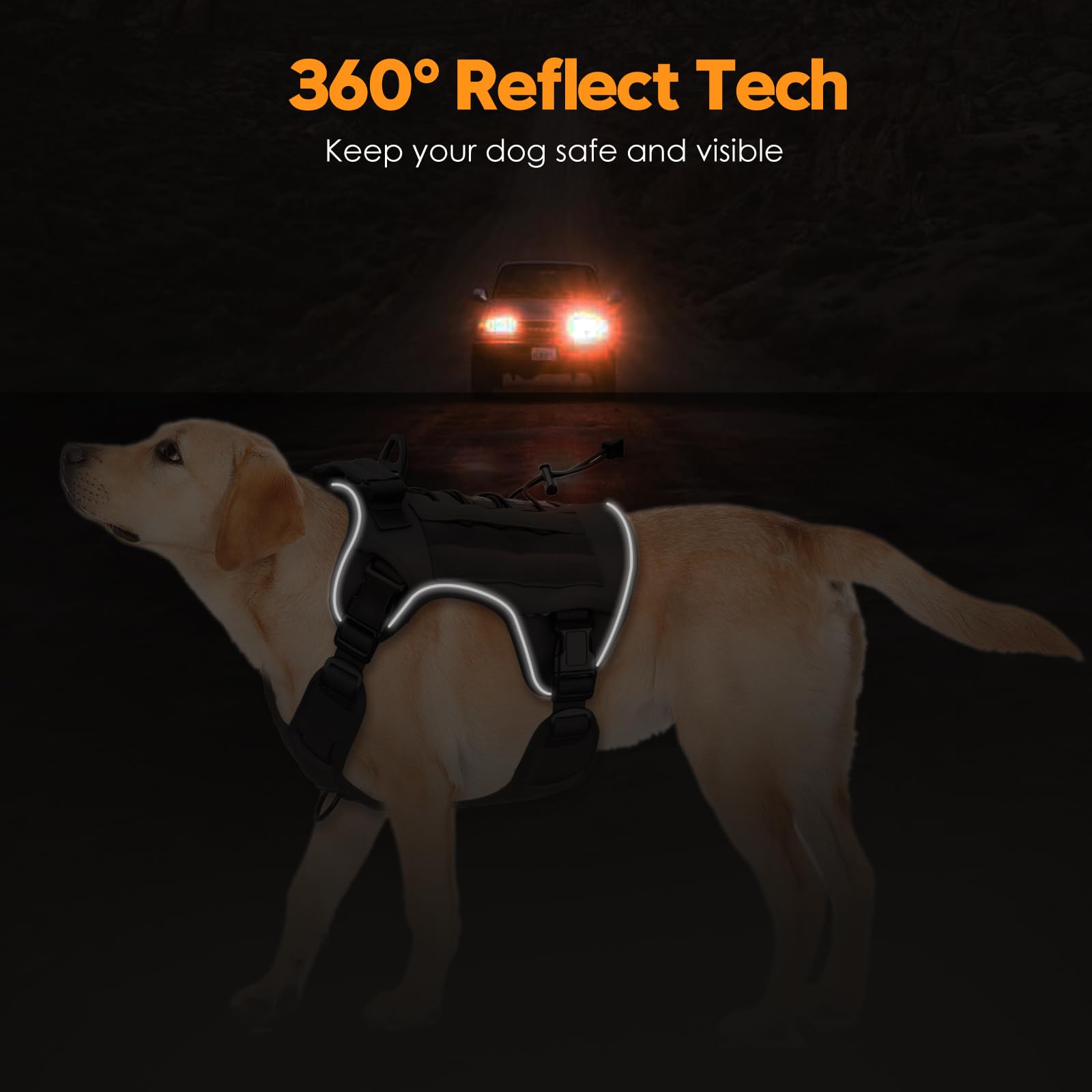 Bruvoalon arnés con reflectivo para paseos nocturnos seguros.