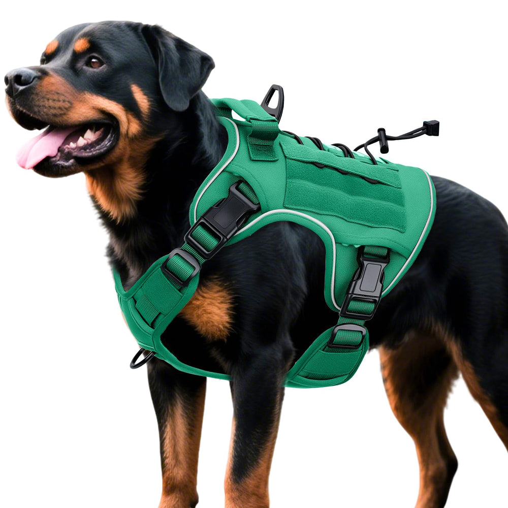 Bruvoalon Arnés Táctico para Perro Grande, durabilidad para paseos intensos