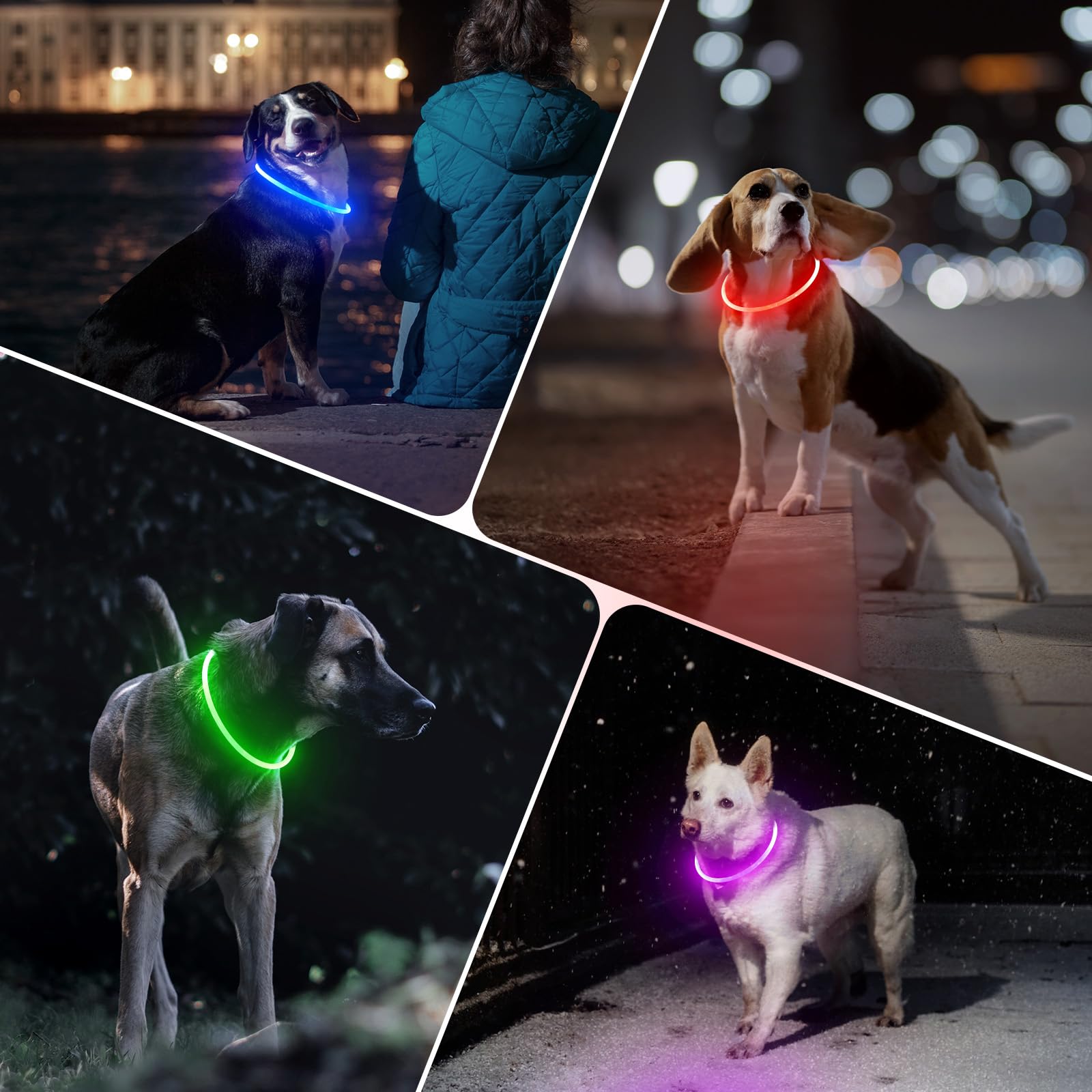 Ideal para caminatas nocturnas de perros de todos los tamaños.