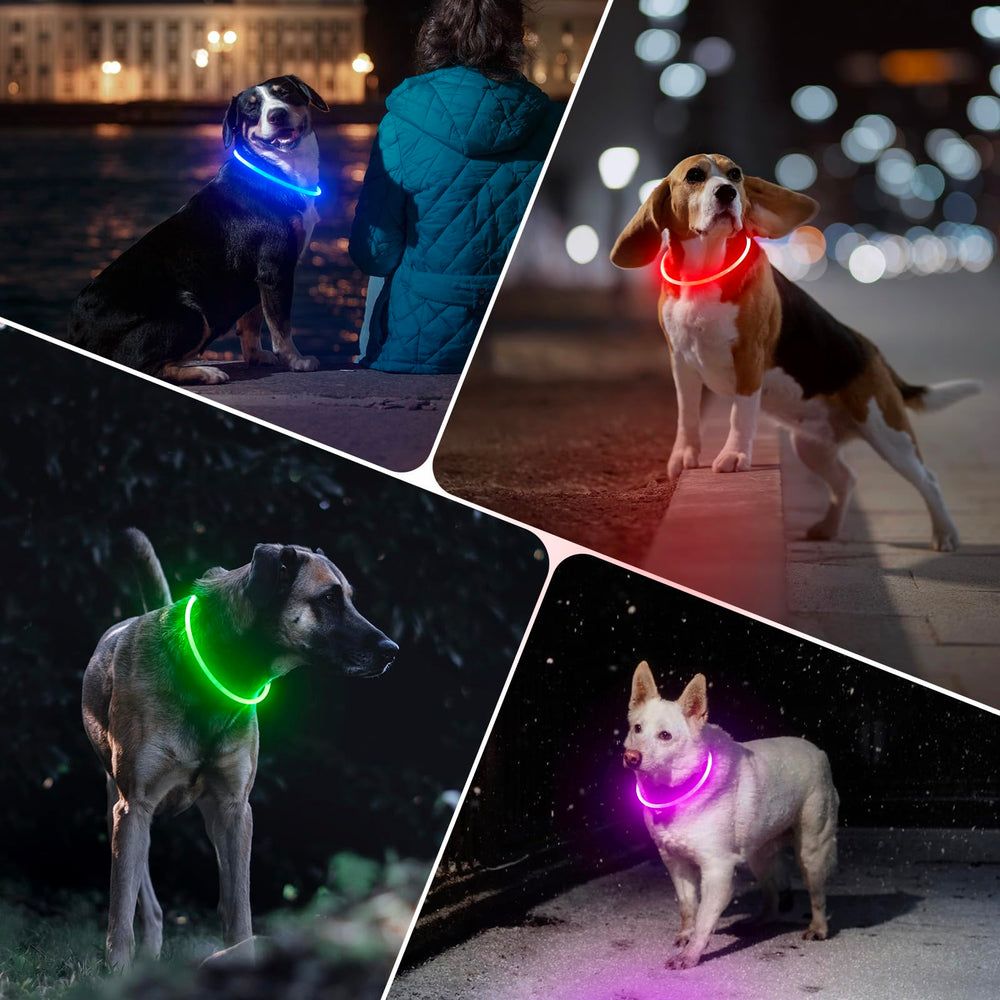 Ideal para caminatas nocturnas de perros de todos los tamaños.