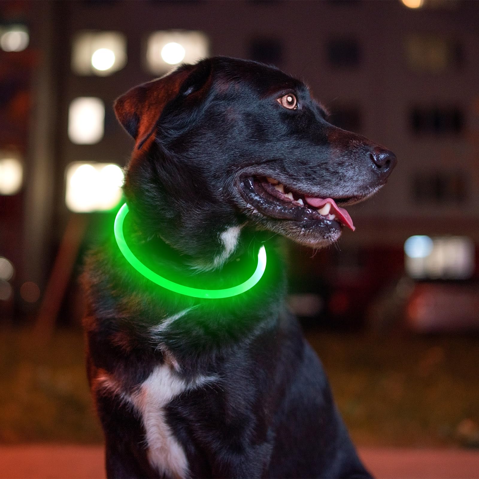 BSEEN collar LED: diseño resistente y uso rápido para dueños activos.