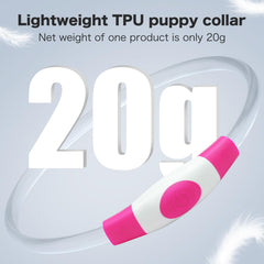 Collar BSEEN con iluminación de 360 grados para paseos nocturnos.