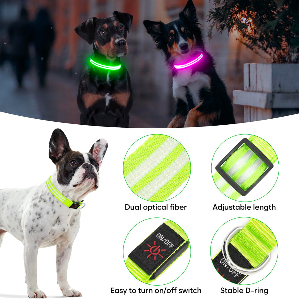Collar LED BSEEN de doble línea con fibra óptica, iluminación clara.