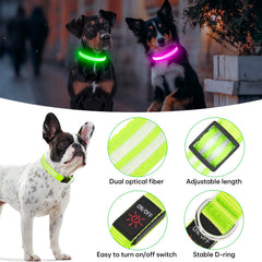 Collar LED BSEEN de doble línea con fibra óptica, iluminación clara.