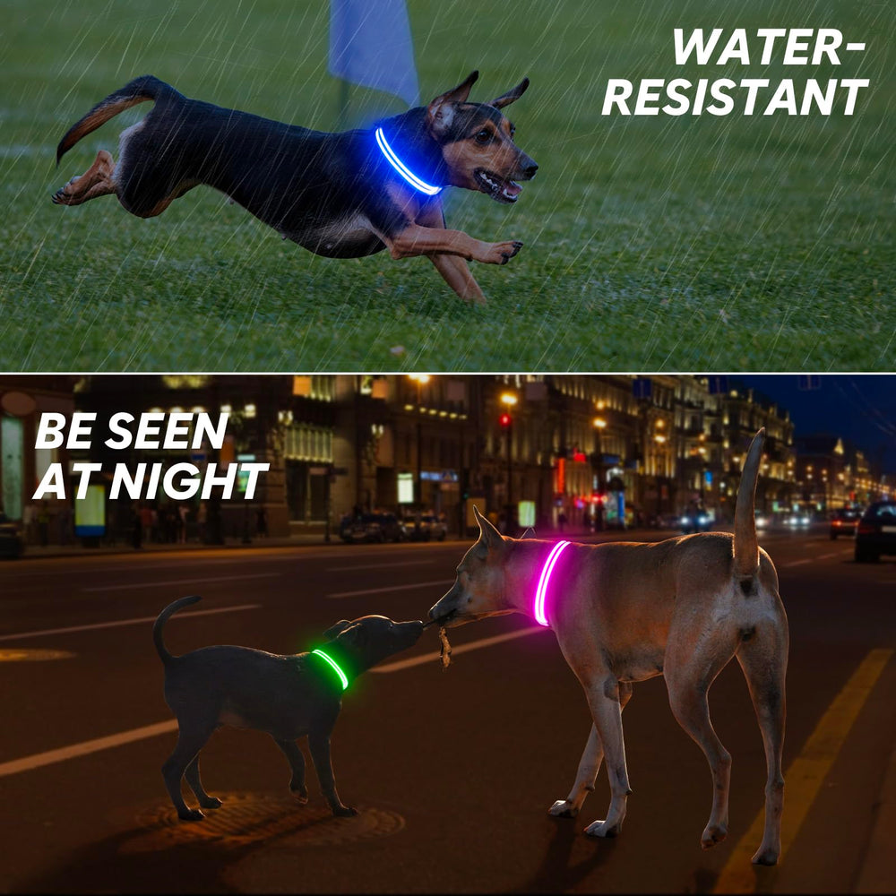 Uso nocturno con collar BSEEN, mejora la seguridad en la oscuridad.