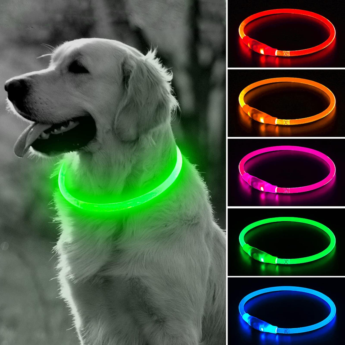 Collar luminoso BSEEN para perros con iluminación 360 para mayor visibilidad.